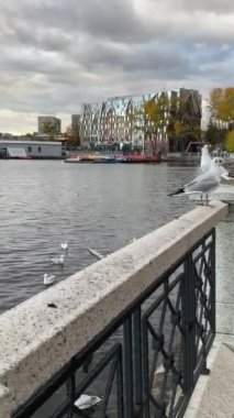 Baltık Denizi ve Kuş Güvertesi 