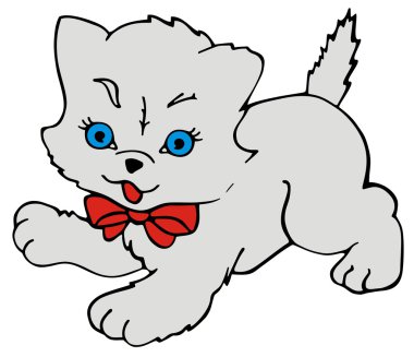 yavru kedi