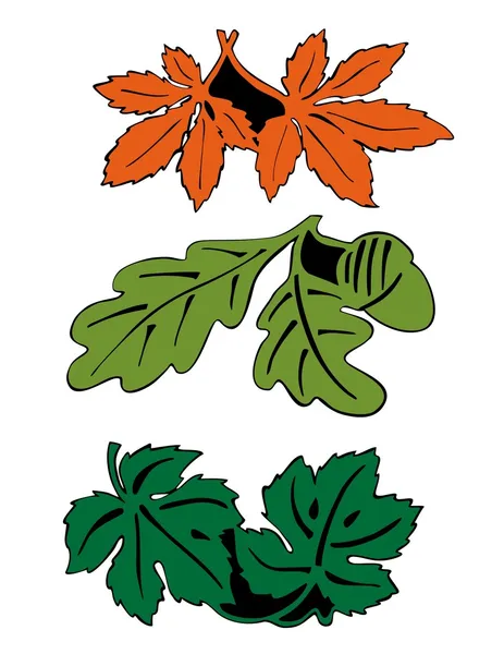 Blätter zu zweit — Stockvektor