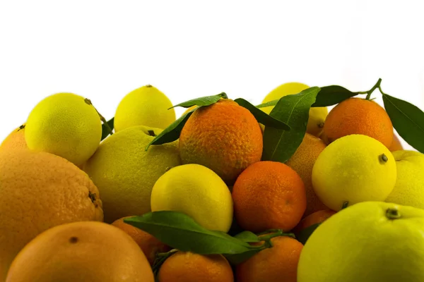 Stock of citrus fruits — Stock Photo, Image