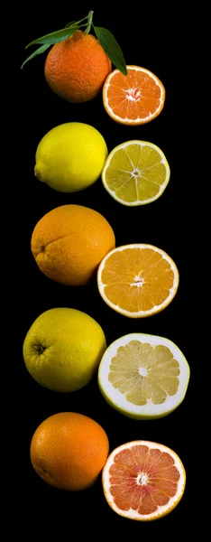 Citrus Fruits Collection — Stock Photo, Image