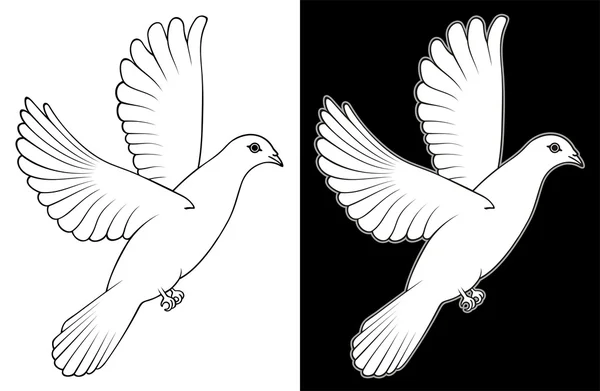 White Dove — Stock Vector