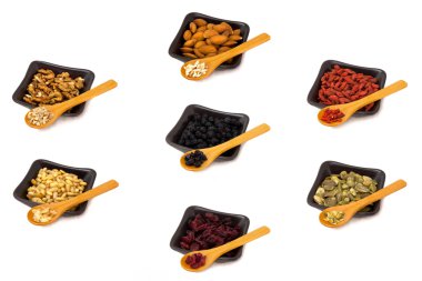 fındık tohum ve meyve toplama