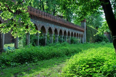 kamienec zabkowicki - Polonya