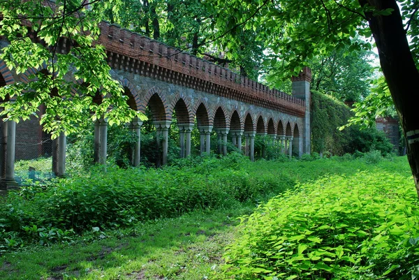 kamienec zabkowicki - Polonya