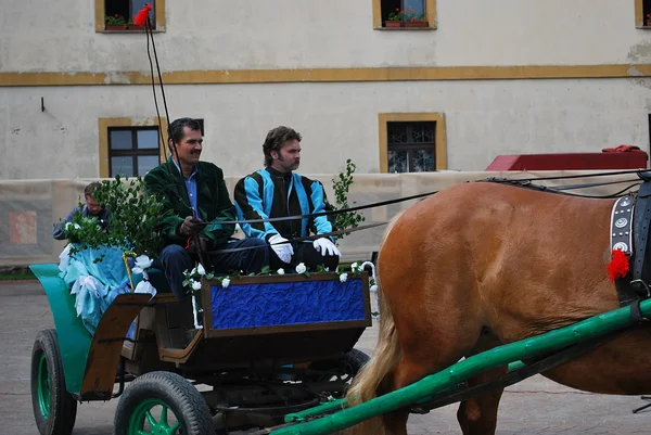 Polonya - kamieniec zabkowicki