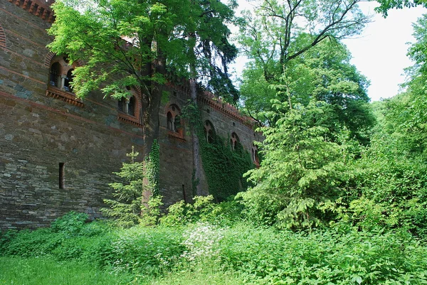 Poland - Kamienec Zabkowicki — ストック写真