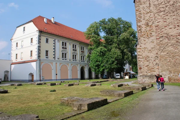 Polonya - kamieniec zabkowicki