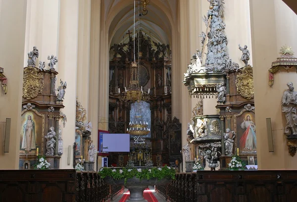 Polonya - kamieniec zabkowicki