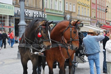 Wroclaw - Polonya