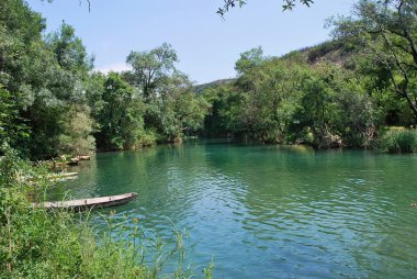 Bosna ve Hersek - falls inek