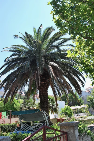 Hırvatistan - makarska