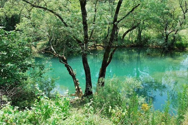 Βοσνία και Ερζεγοβίνη - αγελάδα πέφτει — Φωτογραφία Αρχείου