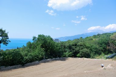 -Kırım - Ukrayna-yalta - nikitsky Botanik Bahçesi