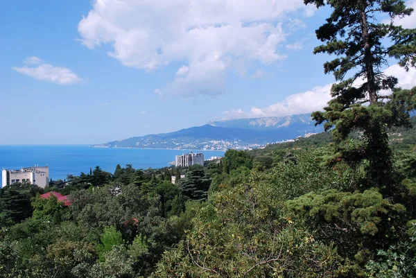 Ukraine - Crimea - Yalta — Stock Photo, Image