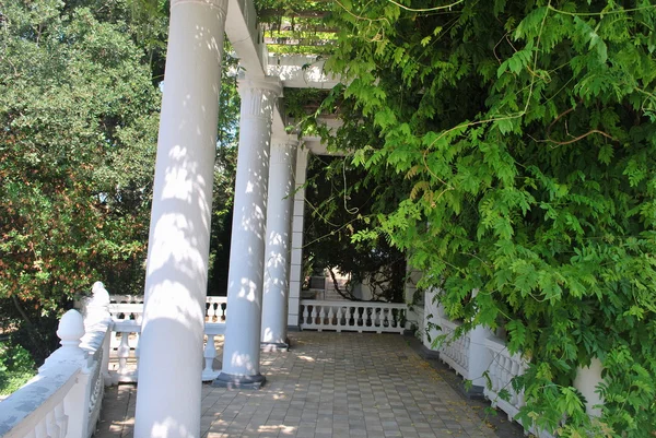 Ukraina - Krim - Jalta - vid nikitsky botaniska trädgård — Stockfoto