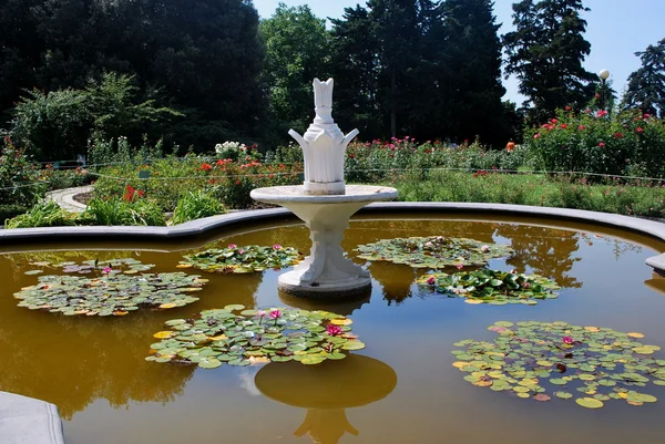 -Kırım - Ukrayna-yalta - nikitsky Botanik Bahçesi