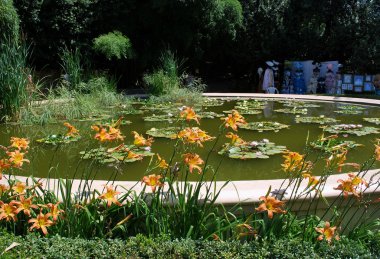 Ukraine - Crimea - Yalta - Nikitsky botanical garden clipart
