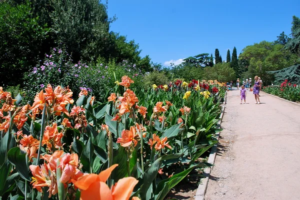 Ucrania - la Crimea - Yalta - Nikitsky el jardín botánico — Foto de Stock