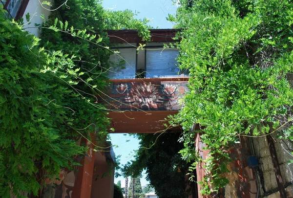 -Kırım - Ukrayna-yalta - nikitsky Botanik Bahçesi