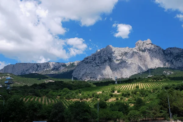 -Kırım - Ukrayna-yalta