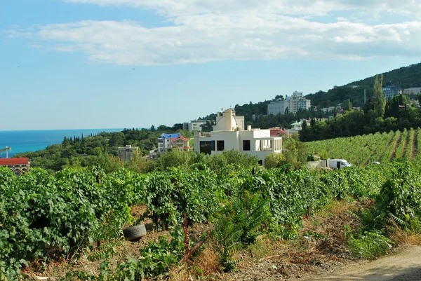 Ukraine - Crimea - Yalta — Stock Photo, Image