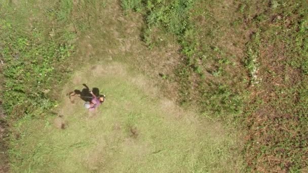Flygfoto av en bonde som klipper gräs på jordbruksmark med en bensingräsklippare. Vy uppifrån och ned — Stockvideo