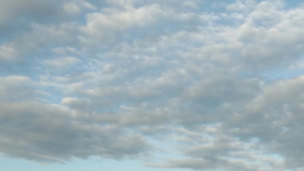 A futófelhők időzítése a kék ég felé — Stock videók