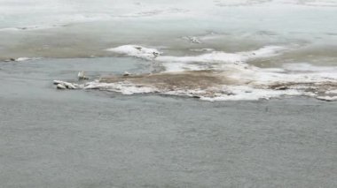 Buzun üstünde akan su. Bahar nehri