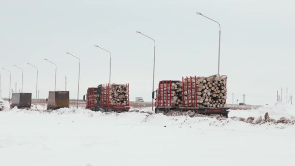 Varios camiones de madera transportando madera a una fábrica — Vídeo de stock