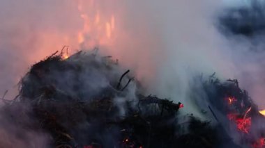 Kuru çim tutacağı ve sigara yakın çekim. Son yıllarda çimenler yanıyor