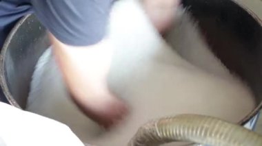 Erkek el ele tutuşur ve PP Pet Chips Semi Dull, PET Cipsleri, PET Polyester Cipsleri karıştırır.
