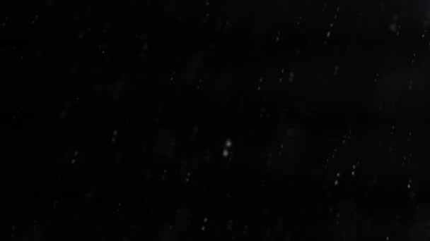 Small snowflakes whirl and fall on a black background. Night snowfall before Christmas. Bright white particles fly in the dim light of a flashlight — Stock Video