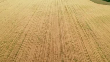 Hasattan sonra tarlanın üzerinden uç. İnanılmaz manzaralar ve dokular. Topraktan çıkarılan şeritler geometrik çizgiler oluşturur ve birbirlerine ufka paralel uzanırlar.