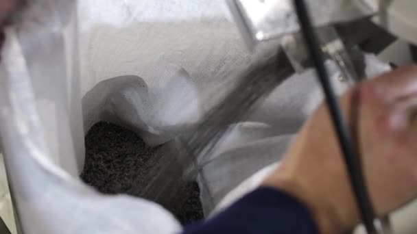 工場労働者はポリプロピレン顆粒で袋を埋めます。バレルPPペットチップ半ダル、 PETチップリサイクル、 PETポリエステルチップ — ストック動画