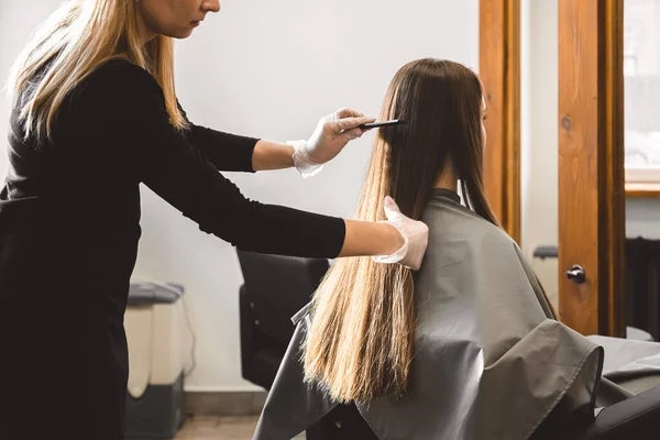 Master fryzjer grzebień dziewczyny włosy po myciu i przed stylizacją w salonie piękności. — Zdjęcie stockowe