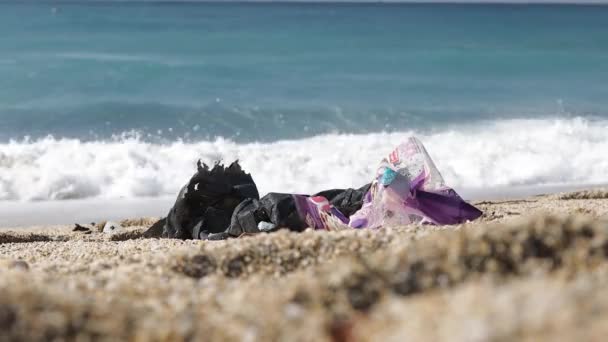 Verschmutzung des Planeten mit menschlichem Abfall. Eine leere Blechdose, die am Strand am Meer entsorgt wird. Müllproblem der Natur — Stockvideo