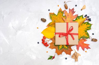 Sonbahar tatili dekorasyonu. Renkli sonbahar yaprakları ve böğürtlenlerle süslenmiş el yapımı kağıt hediye kutusunun üst görüntüsü. Fotokopi alanı olan Şükran Günü arkaplanı.