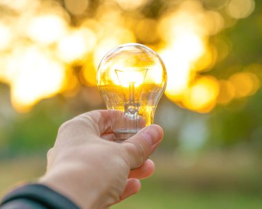 Batan güneş tarafından altın yeşili arka planda tutulan bir ampulün yakın plan görüntüsü. Alternatif enerji kavramı.