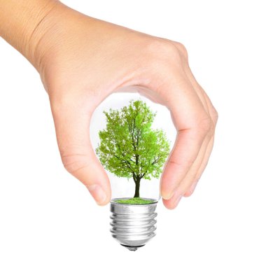 İçinde yeşil bir ağaç olan bir ampulü tutan bir elin yakın çekimi beyaz üzerine izole edilmiş. Sürdürülebilir güç kavramı.