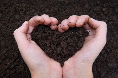 Kalp şeklinde bir toprak yığını tutan kadın elleri. Dünya Günü konsepti.
