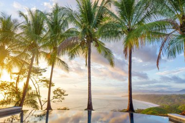 Luxurious view from the villa pool to a pacific coast of Costa Rica through a row of palm trees at sunrise.