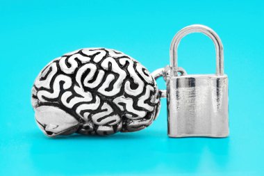 Anatomical copy of a human brain with a locked padlock isolated on blue background. The concept of unlocking the mind power.