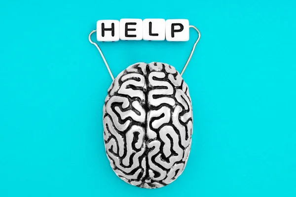 Anatomical Copy Human Brain Holding Help Sign Asking Help Mental — Stock Photo, Image