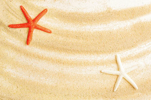 Красные Белые Морские Звезды Песчаном Фоне Креативная Концепция Пляжного Отдыха — стоковое фото
