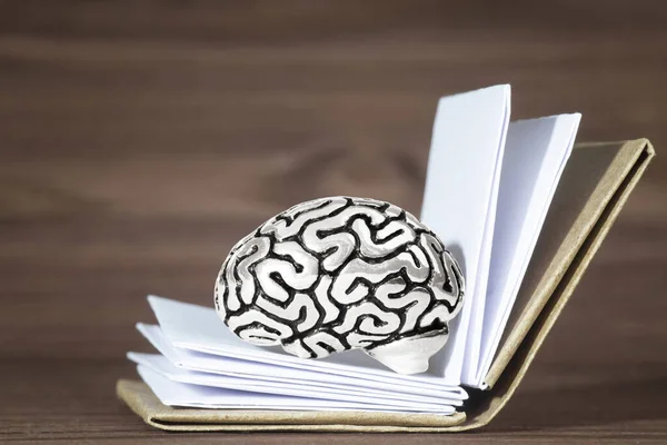 Миниатюрная Модель Человеческого Мозга Лежащая Внутри Открытой Книги Деревянном Столе — стоковое фото