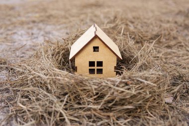 Kuş yuvasında minyatür kontrplak oyuncak ev. Konforlu ev kavramı.