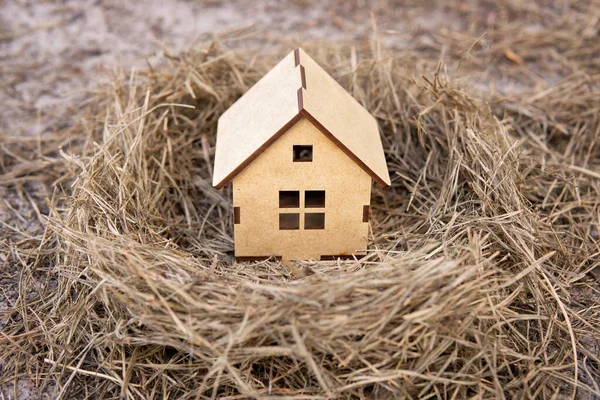 Bird Nest Miniature Wooden House Model Collective Household Concept — ストック写真