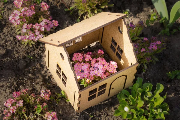 Small Pink Flowers Growing Wooden Toy House Placed Flower Bed — Fotografia de Stock