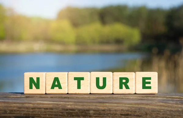 Word Nature Made Wooden Alphabet Blocks Lake Background Sustainability Environmental — Stock Photo, Image